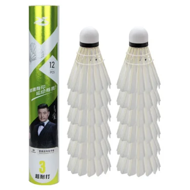 Badminton